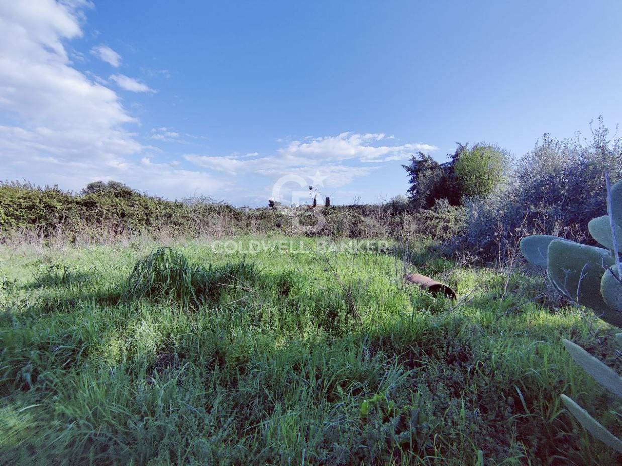 Terreno agricolo in vendita a Montalto di Castro, Montalto di Castro