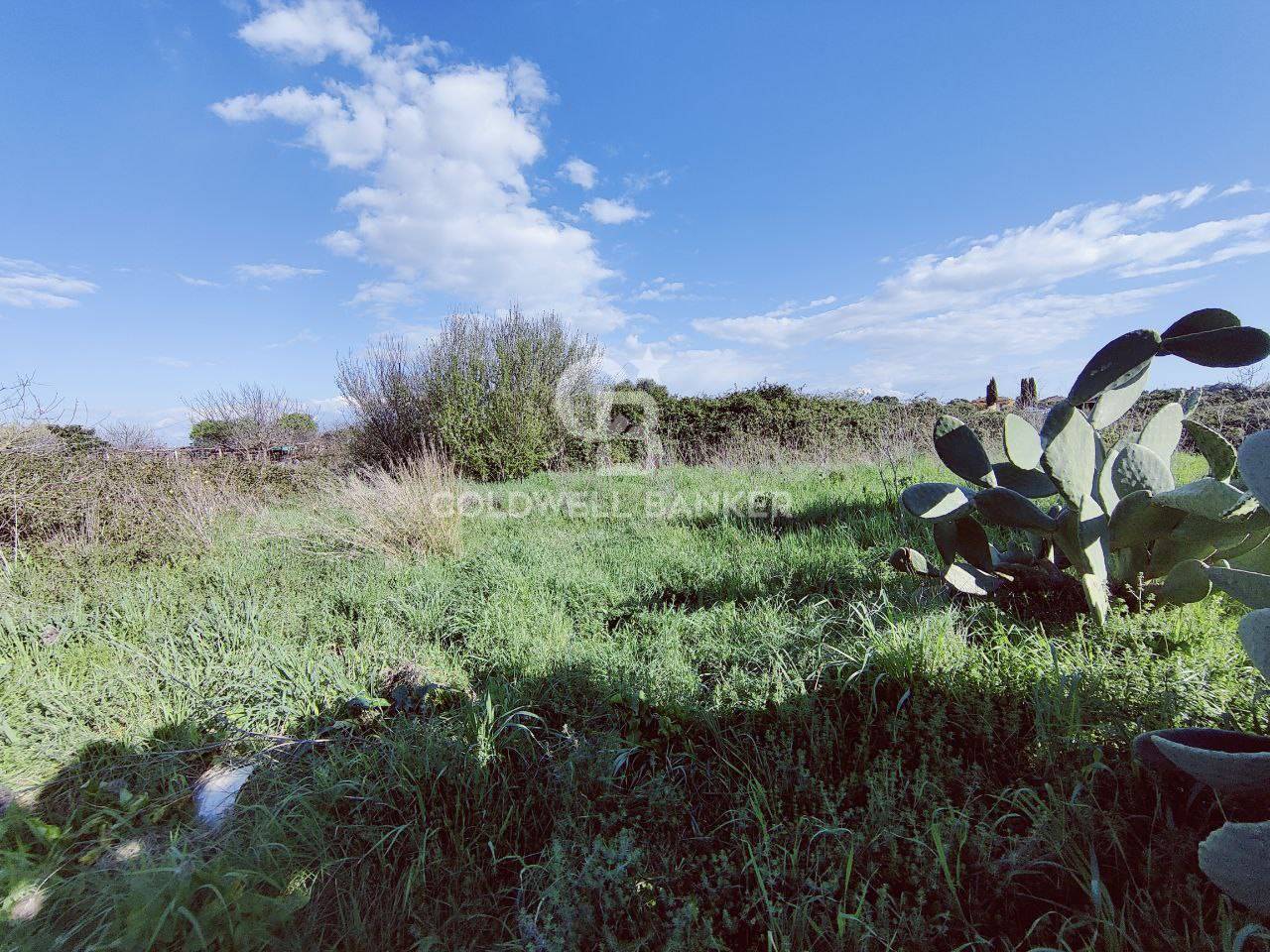 Terreno agricolo in vendita a Montalto di Castro, Montalto di Castro