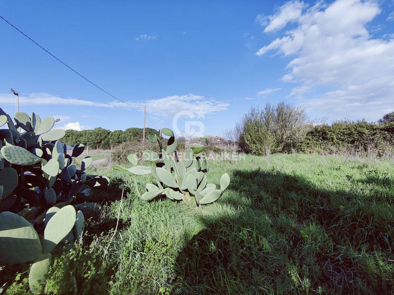 Terreno agricolo in vendita a Montalto di Castro, Montalto di Castro