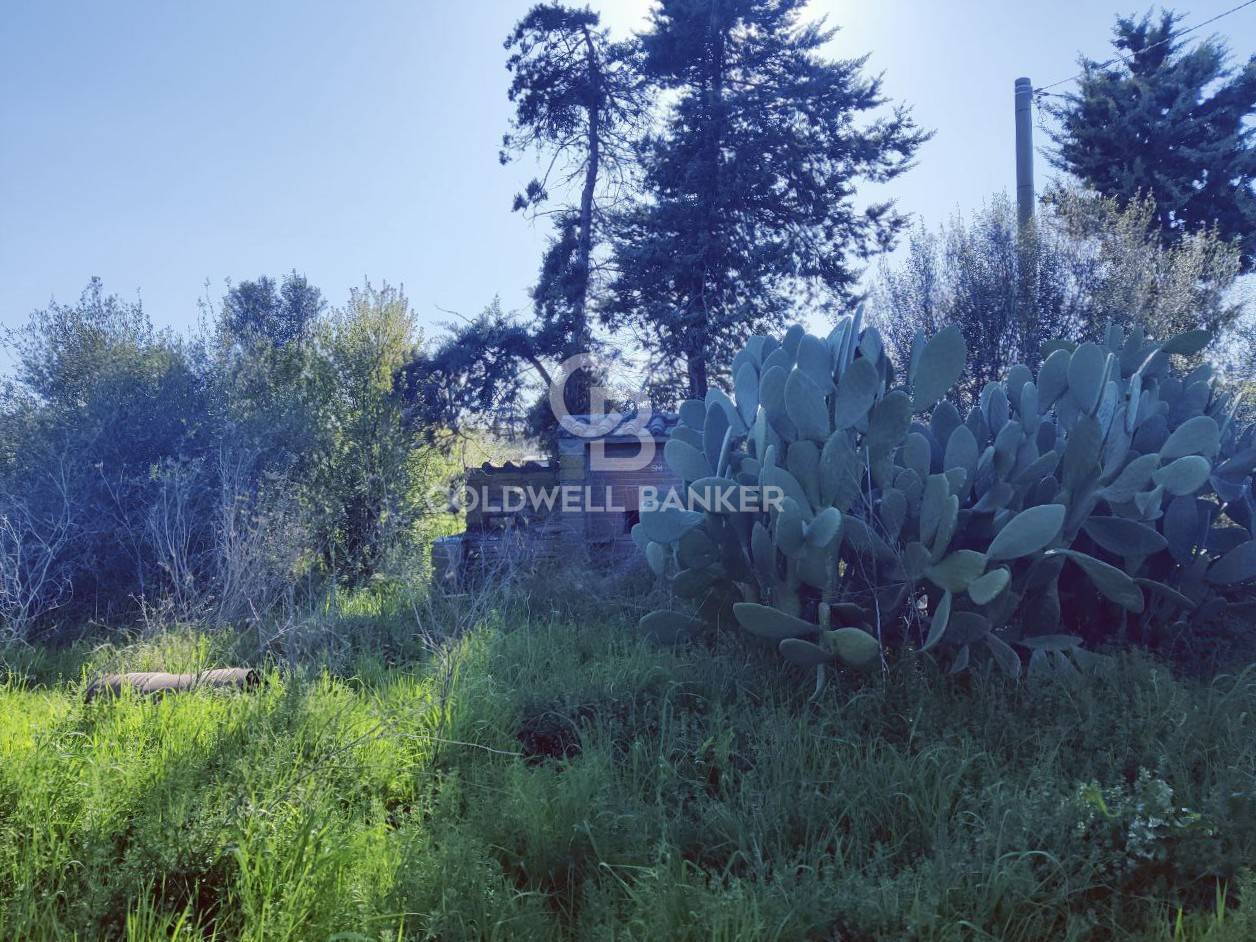 Terreno agricolo in vendita a Montalto di Castro, Montalto di Castro