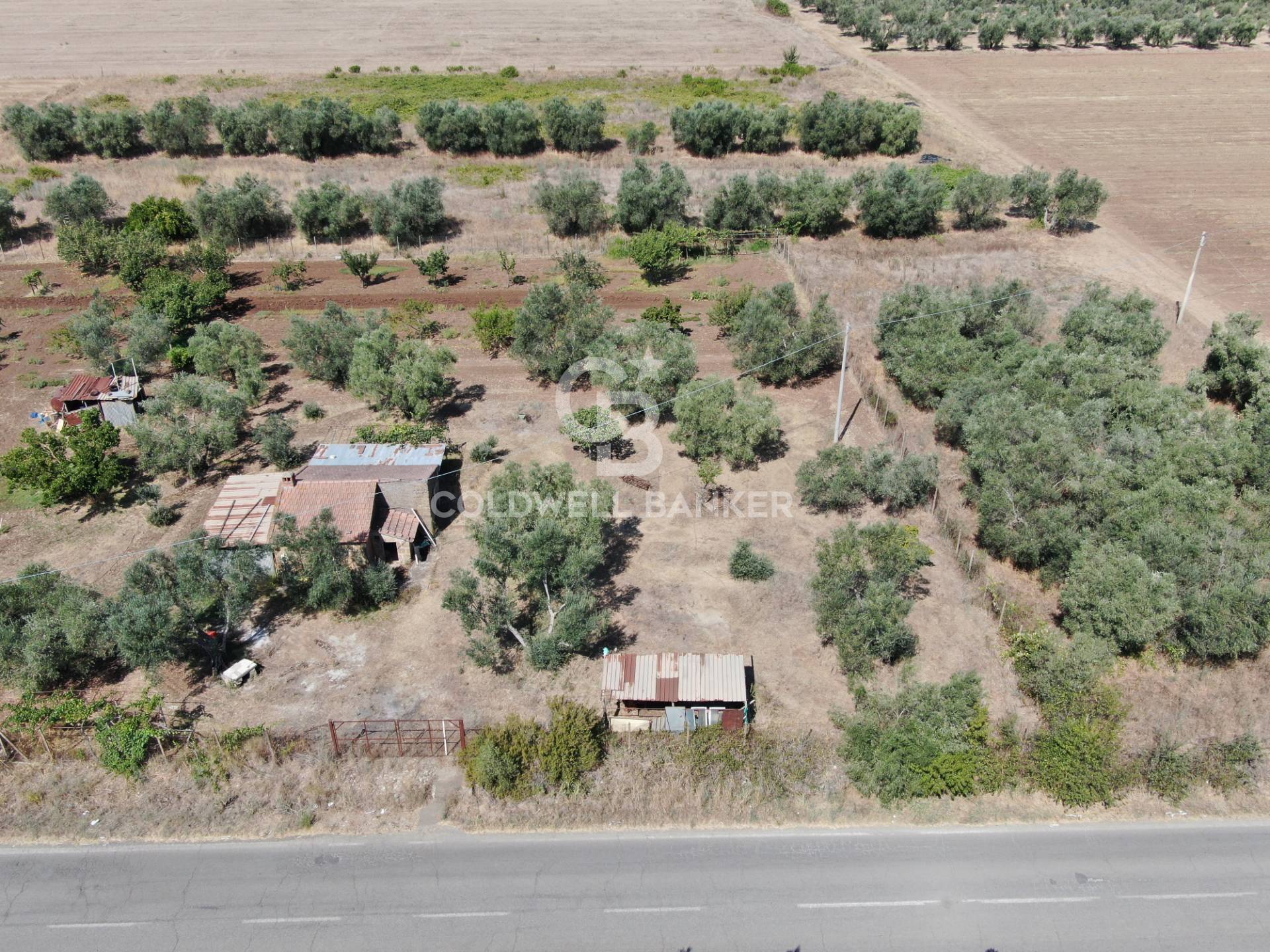 Terreno agricolo in vendita a Canino