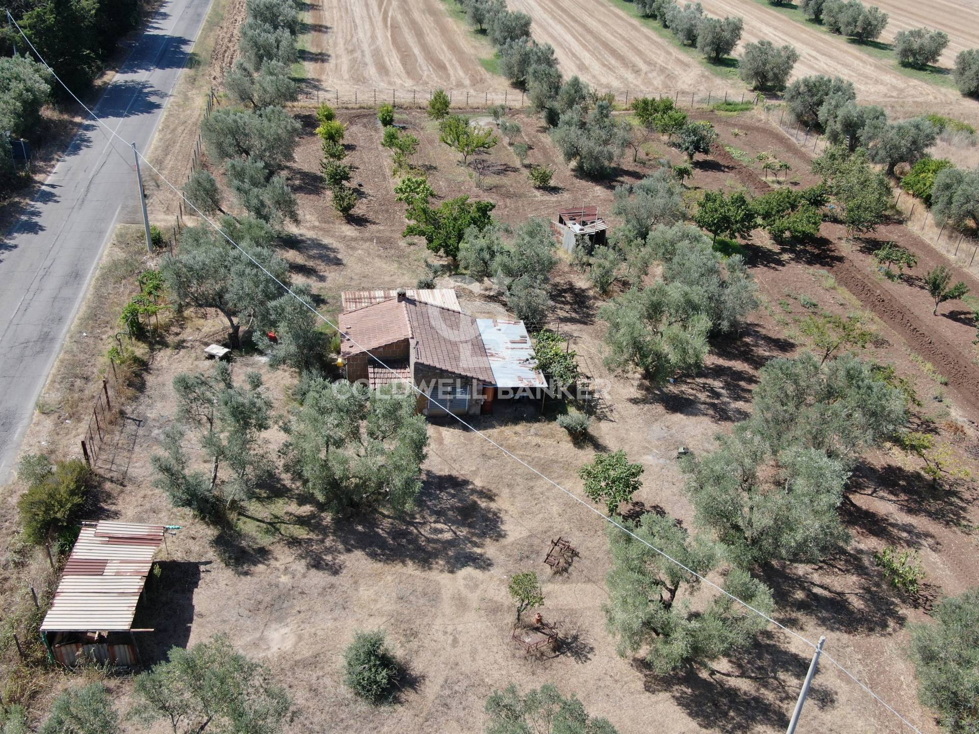Terreno agricolo in vendita a Canino