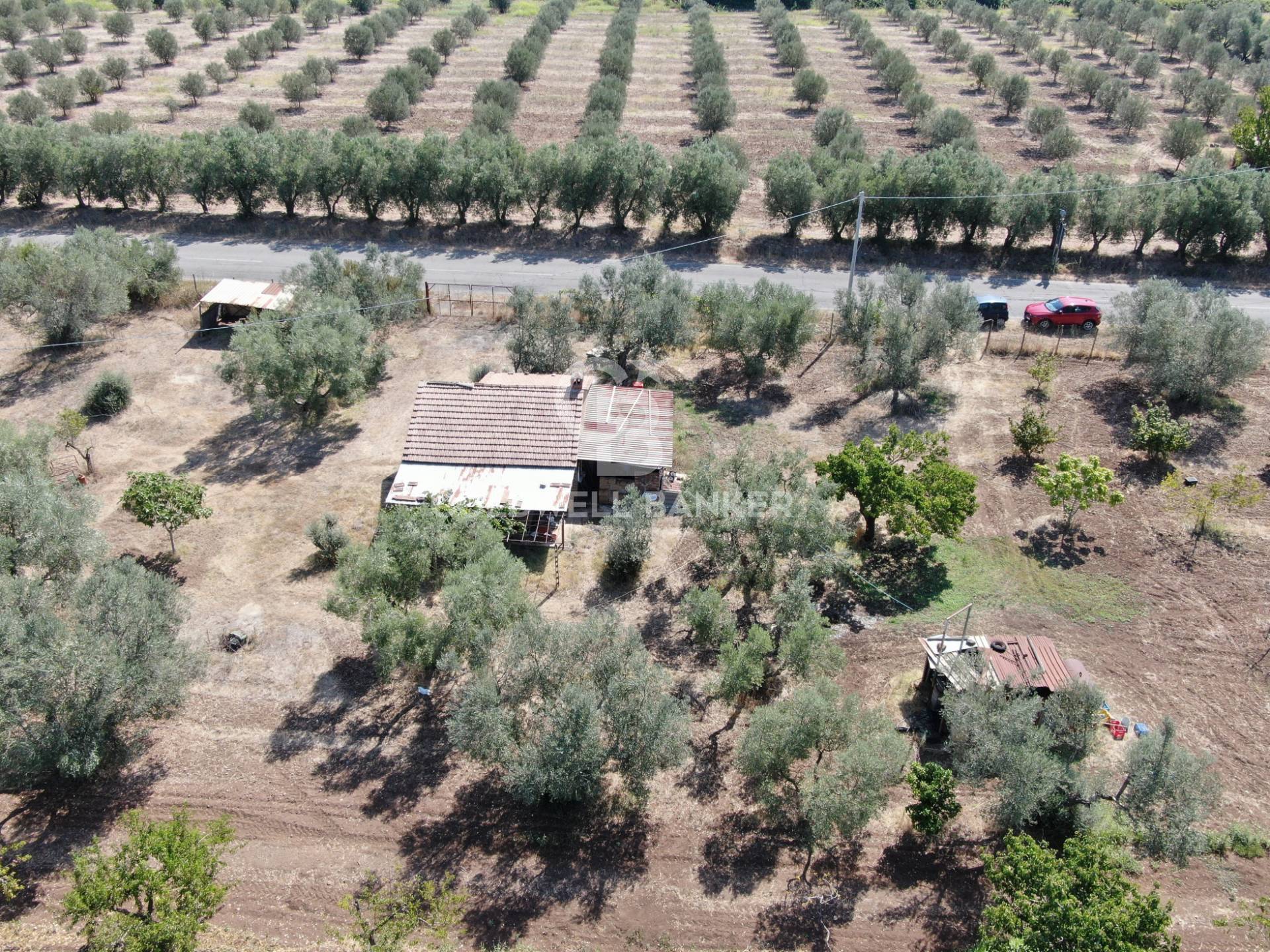 Terreno agricolo in vendita a Canino