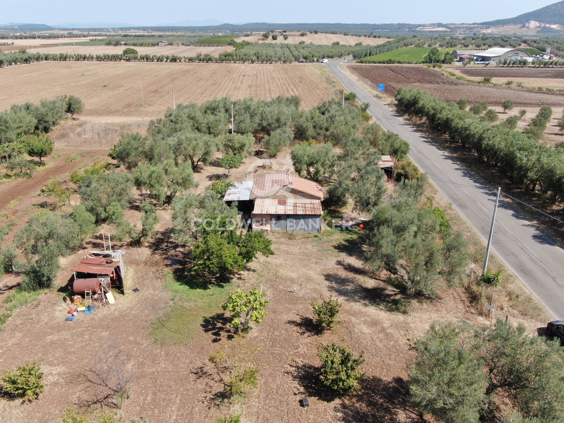 Terreno agricolo in vendita a Canino