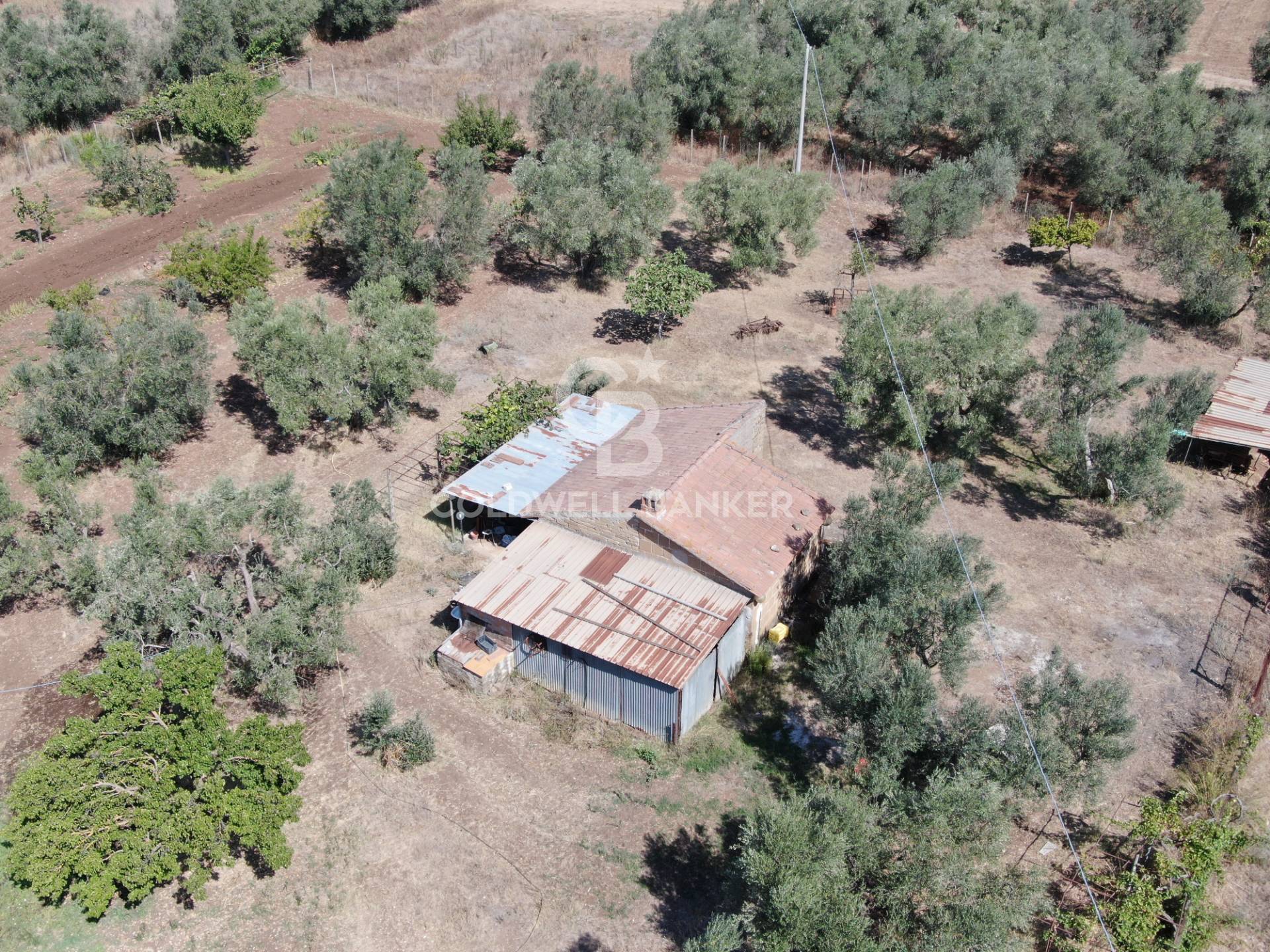 Terreno agricolo in vendita a Canino