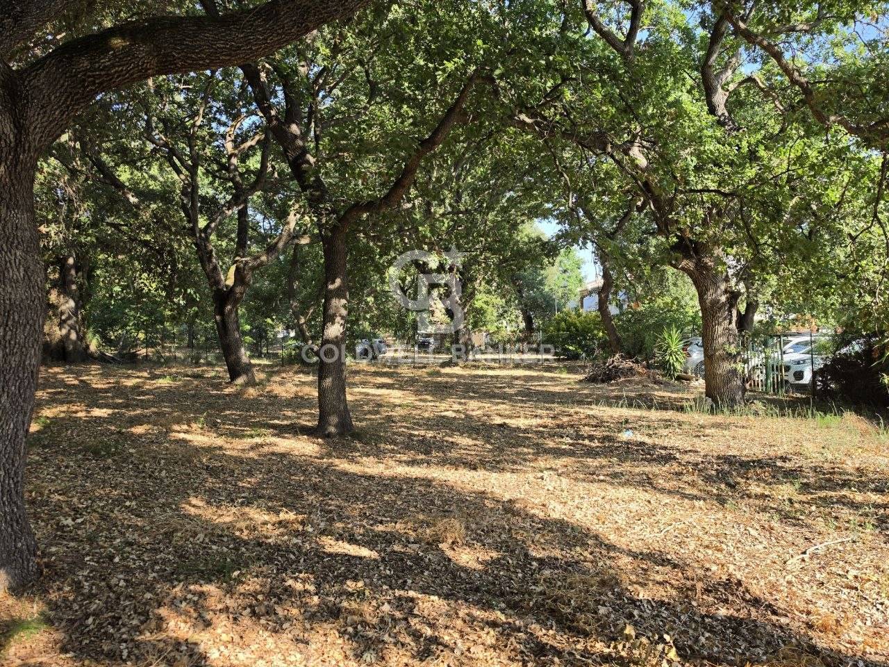 Terreno in vendita a Montalto di Castro, Montalto Marina