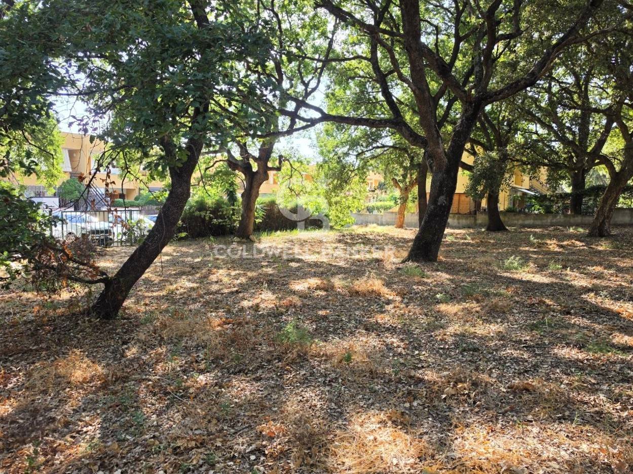Terreno in vendita a Montalto di Castro, Montalto Marina