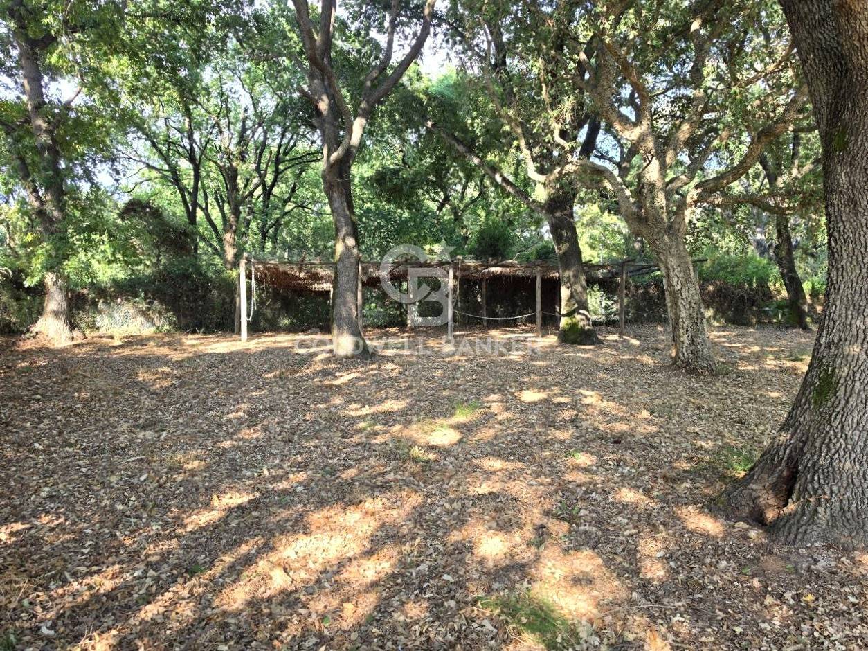 Terreno in vendita a Montalto di Castro, Montalto Marina