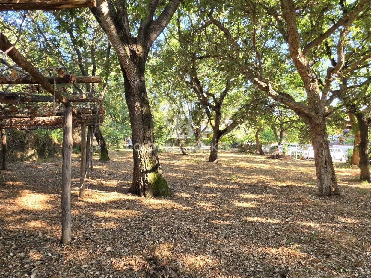 Terreno in vendita a Montalto di Castro, Montalto Marina