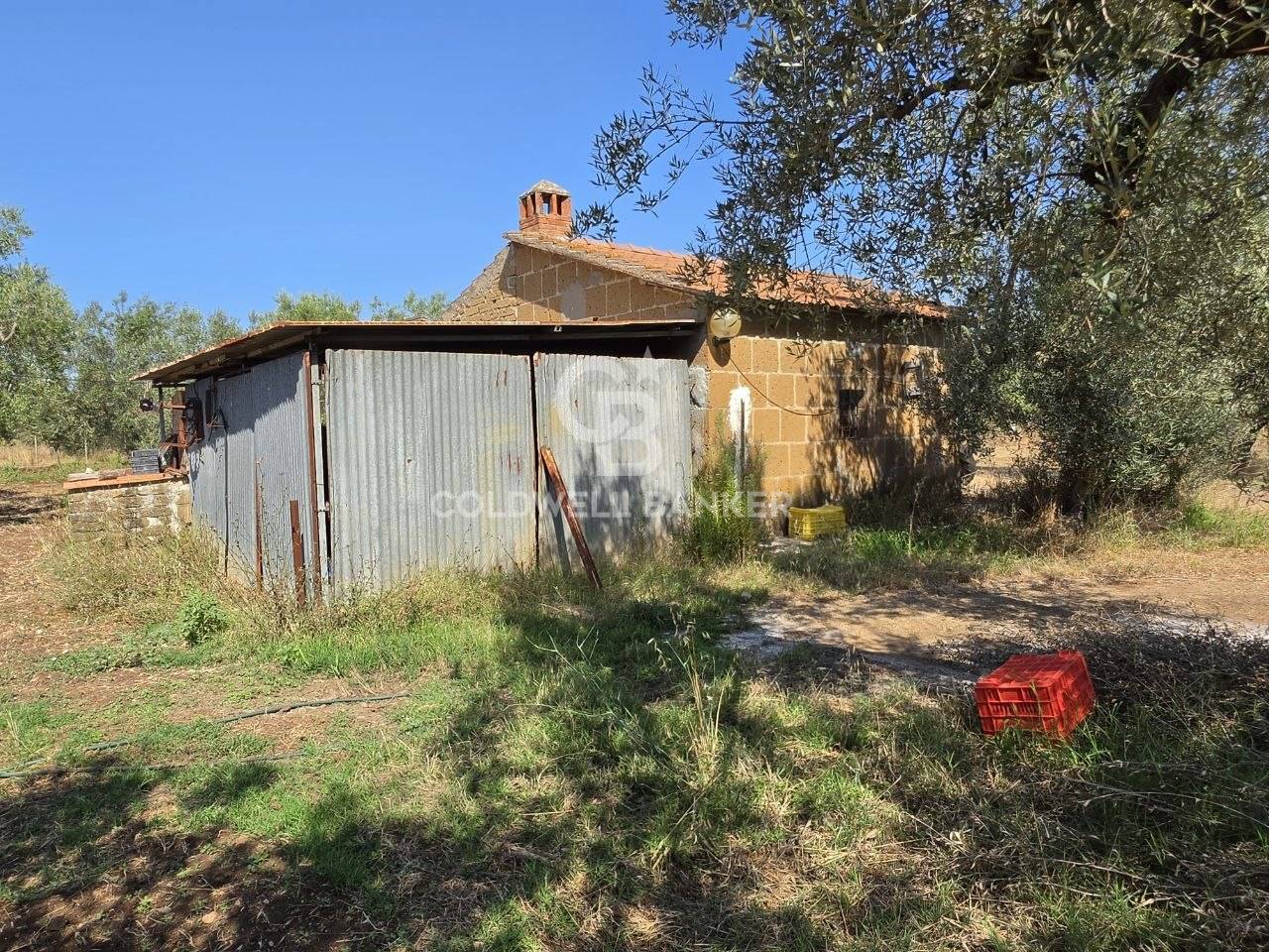 Rustico/Casale/Corte in vendita a Canino