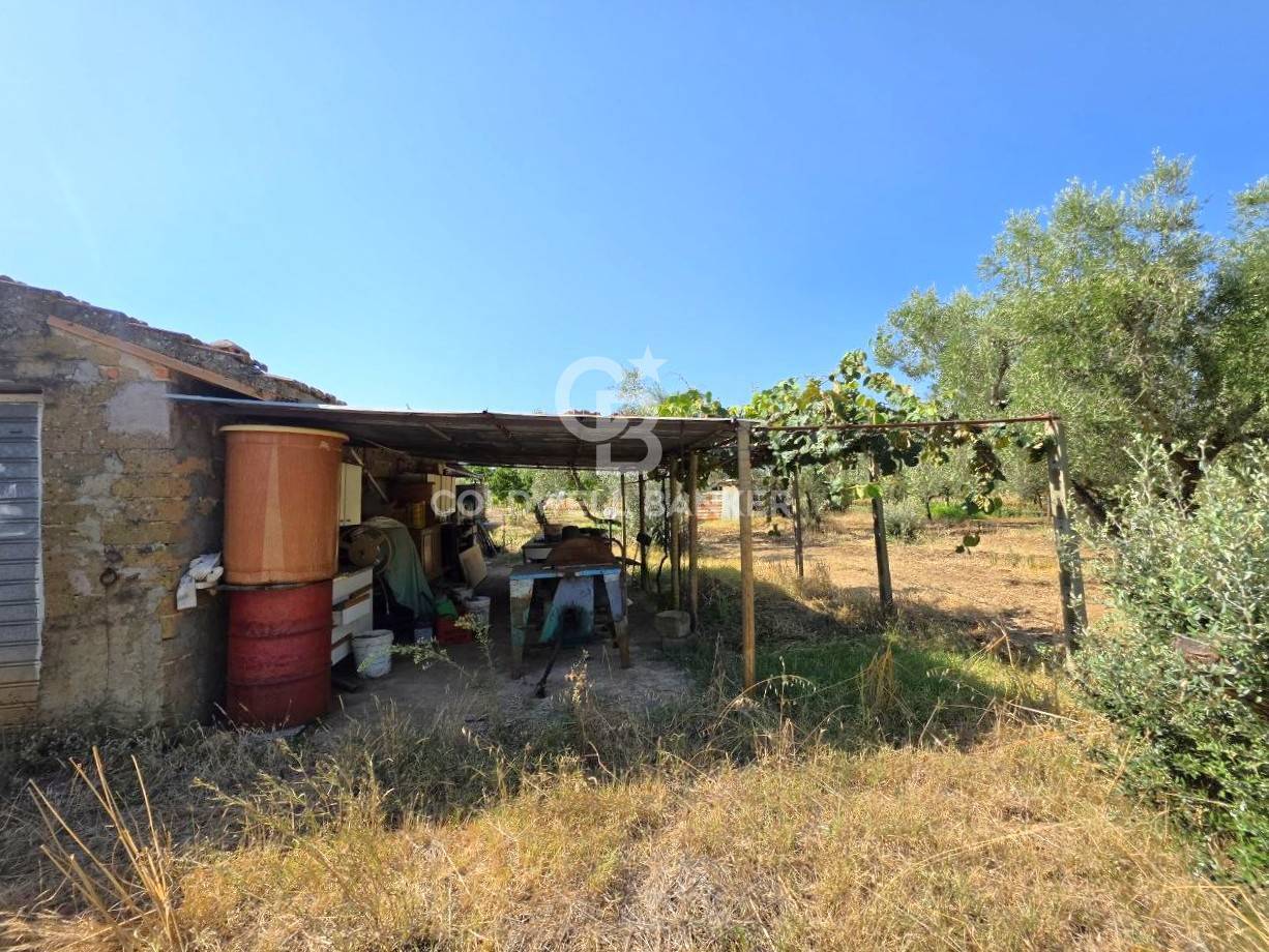 Rustico/Casale/Corte in vendita a Canino