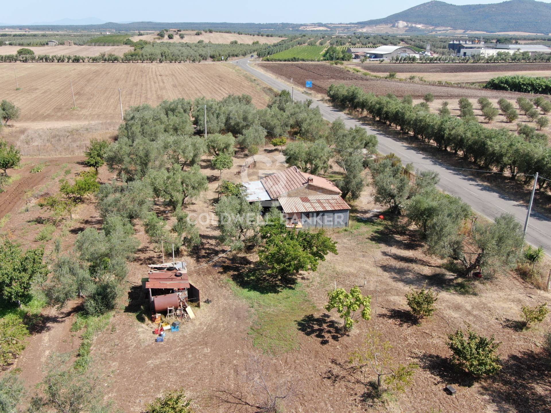 Rustico/Casale/Corte in vendita a Canino