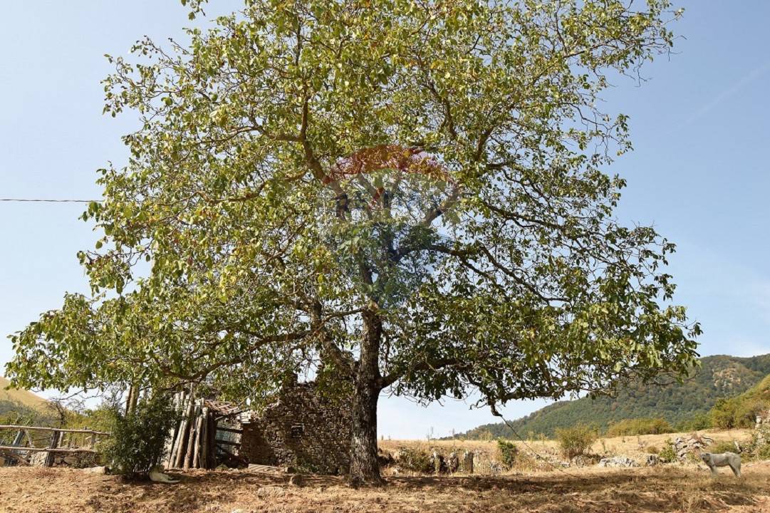 Rustico da ristrutturare, Bagni di Lucca san cassiano di cotroni