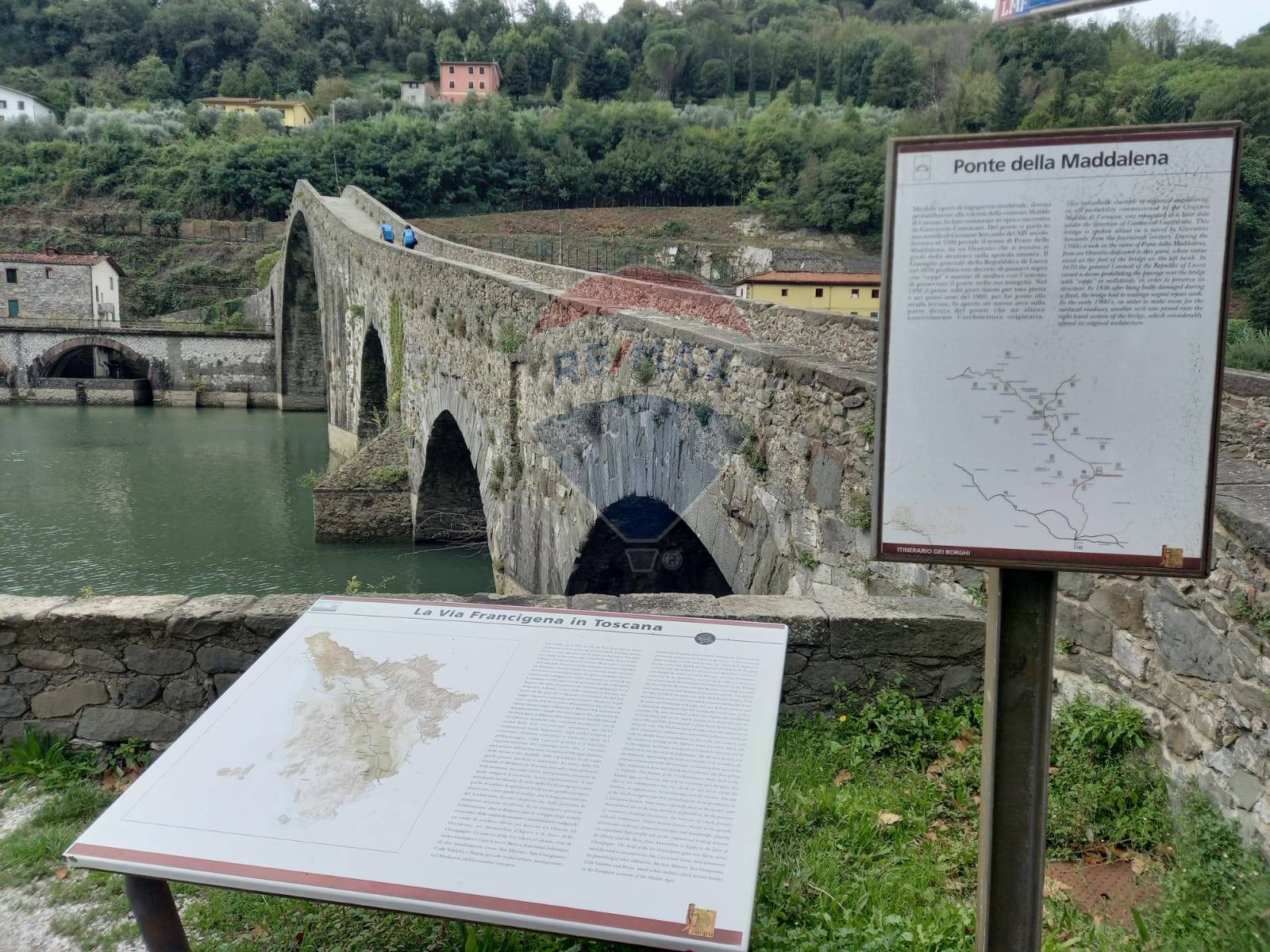 immagine annuncio 3 di 7