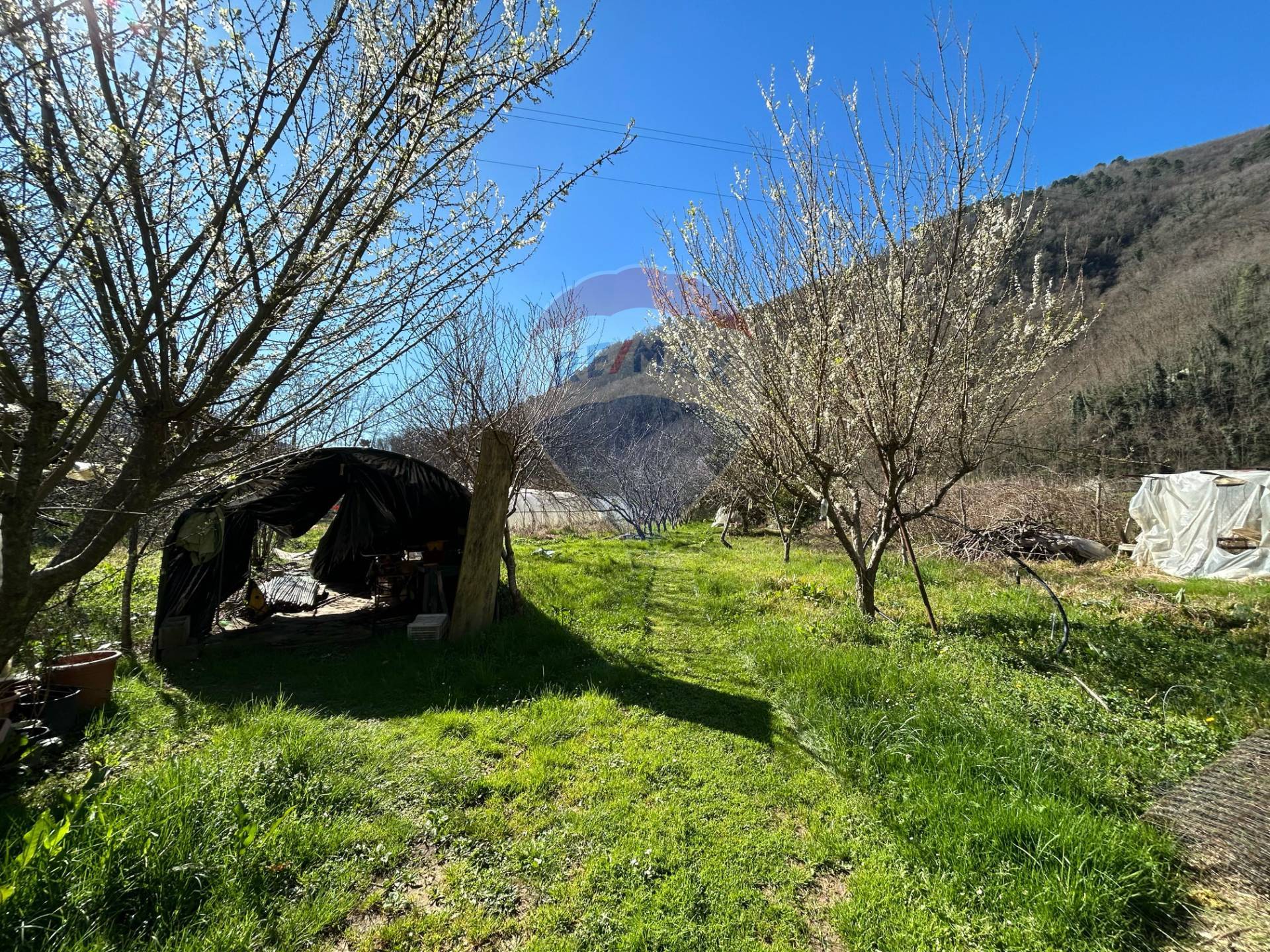 Rustico in vendita a Borgo a Mozzano, Diecimo