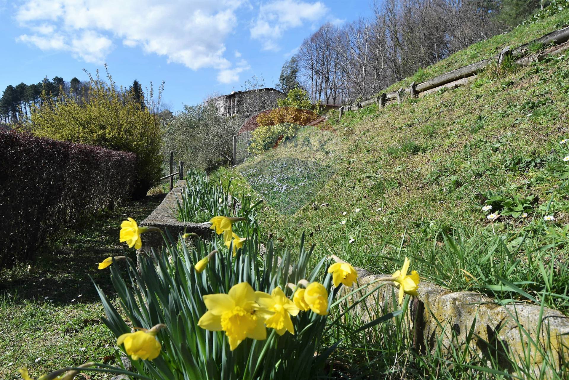 Casa Indipendente in vendita a Molazzana, Montaltissimo
