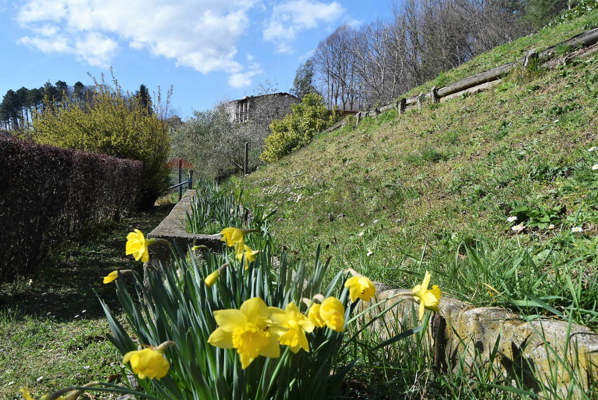 immagine annuncio 3 di 10