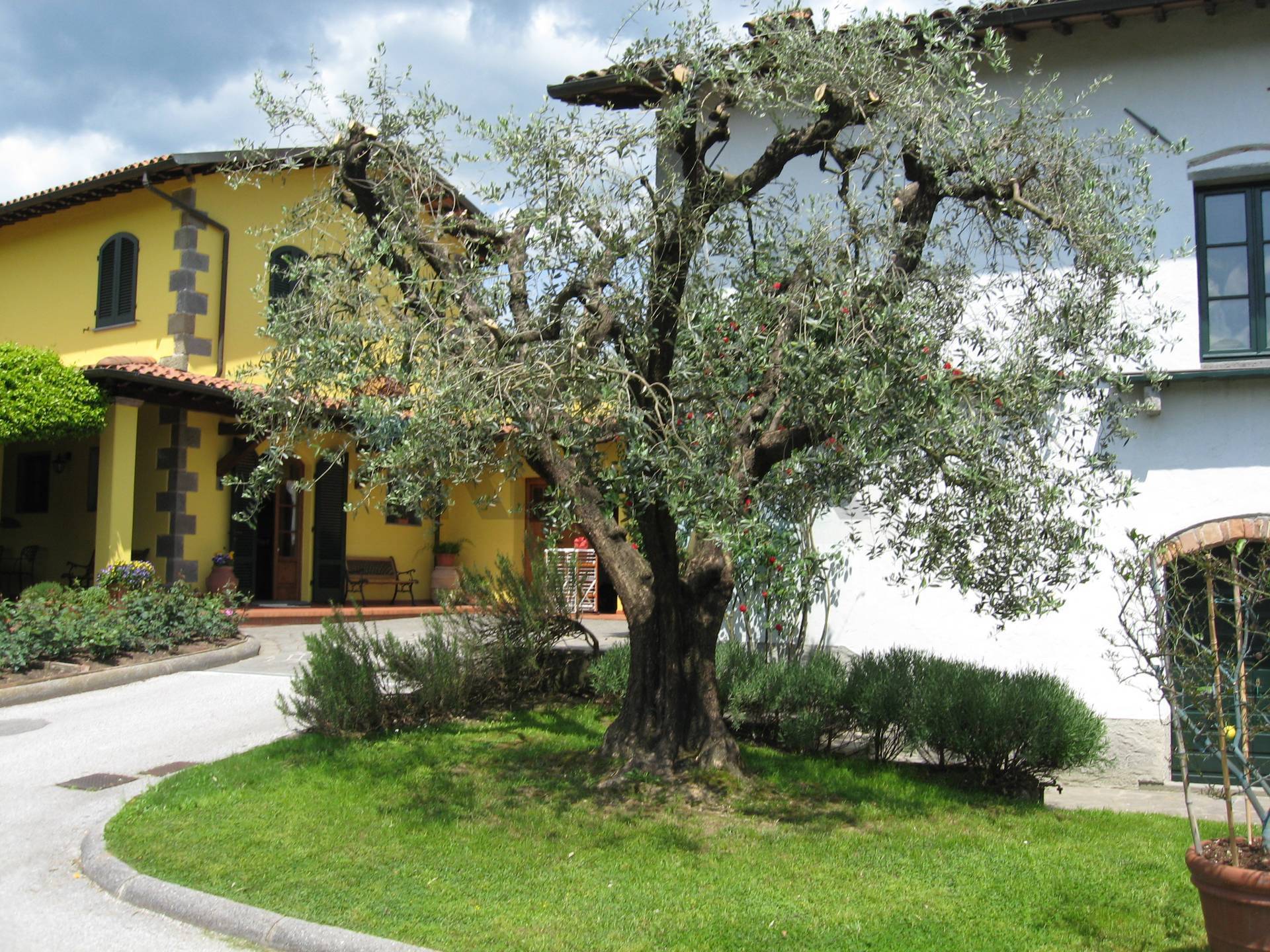 Casa Indipendente in vendita a Barga
