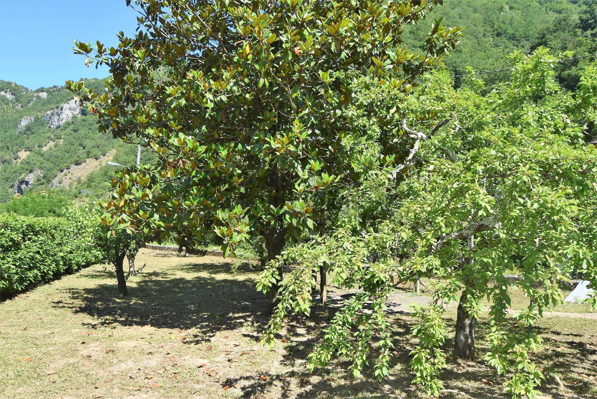 Appartamento in vendita a Bagni di Lucca, Limano