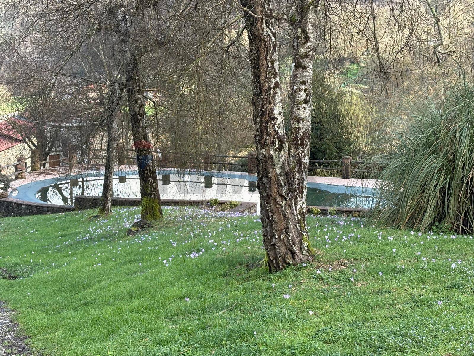 Villa singola in vendita a Borgo a Mozzano, Gioviano