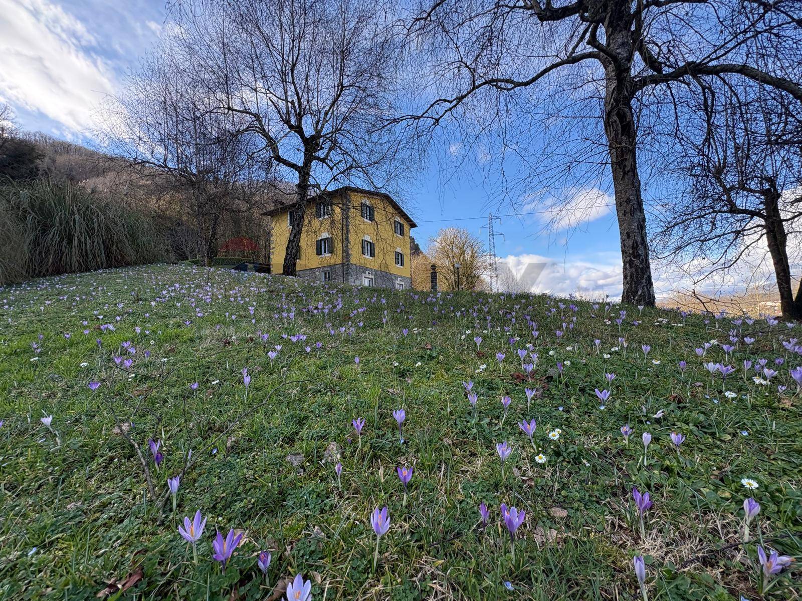 Villa singola in vendita a Borgo a Mozzano, Gioviano