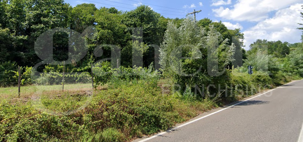 Terreno Agricolo in vendita a Pontelatone
