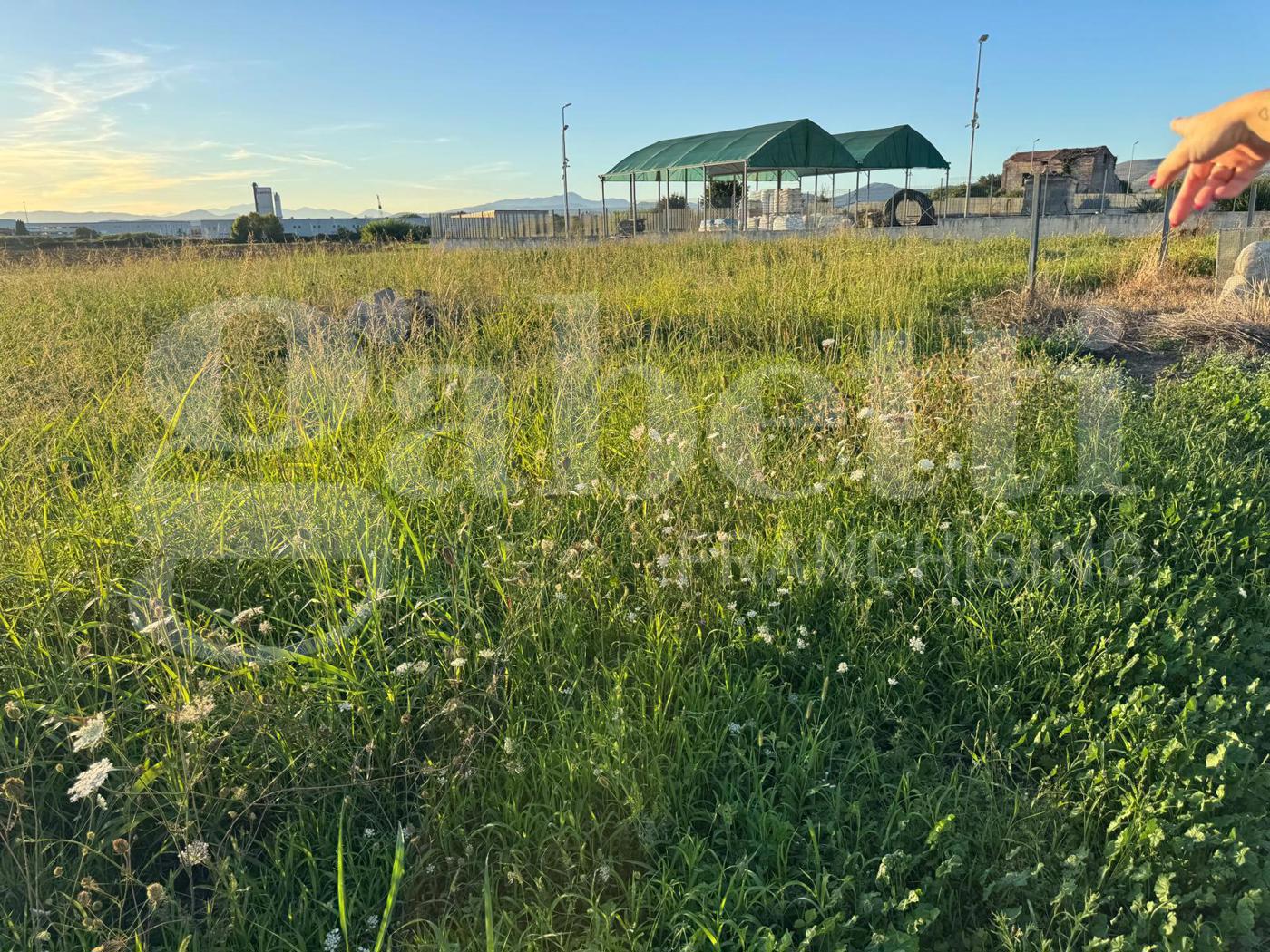 Terreno Agricolo in vendita a Vitulazio