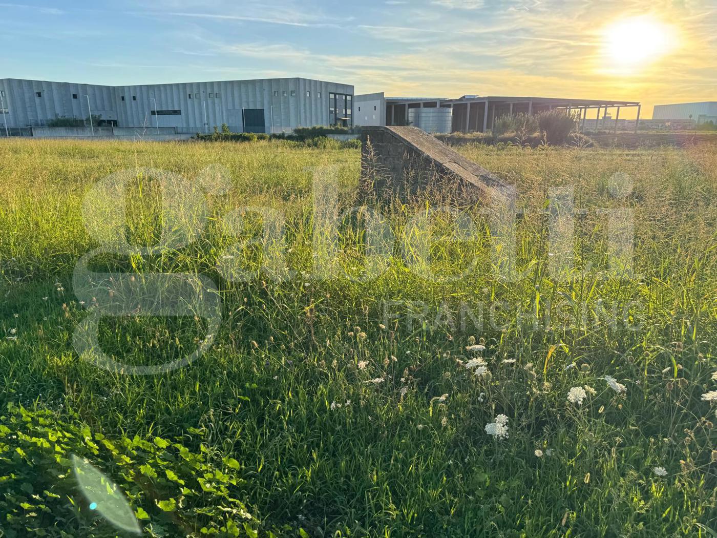 Terreno Agricolo in vendita a Vitulazio