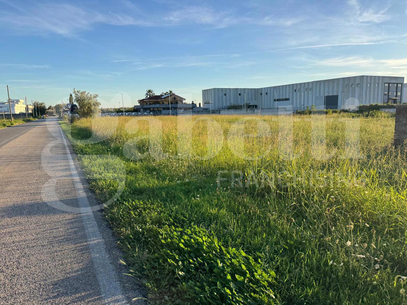 Terreno Agricolo in vendita a Vitulazio