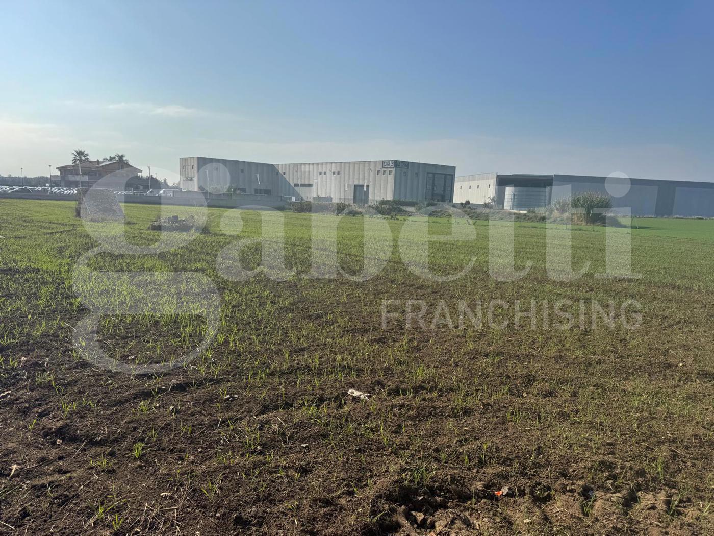 Terreno Agricolo in vendita a Vitulazio