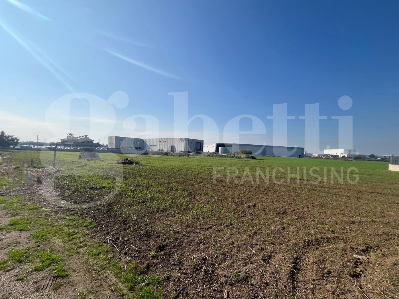 Terreno Agricolo in vendita a Vitulazio