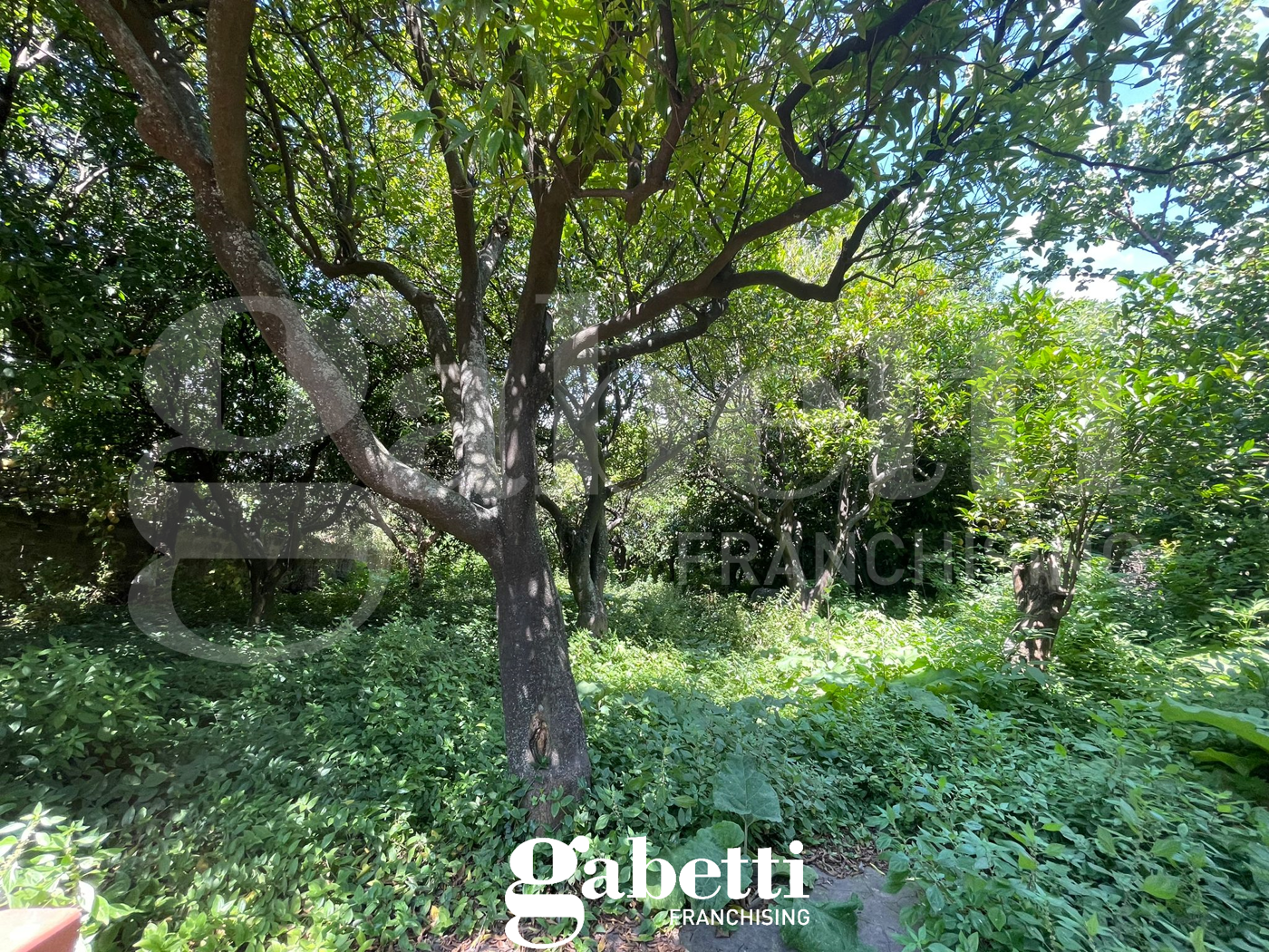 Appartamento con giardino a Vitulazio