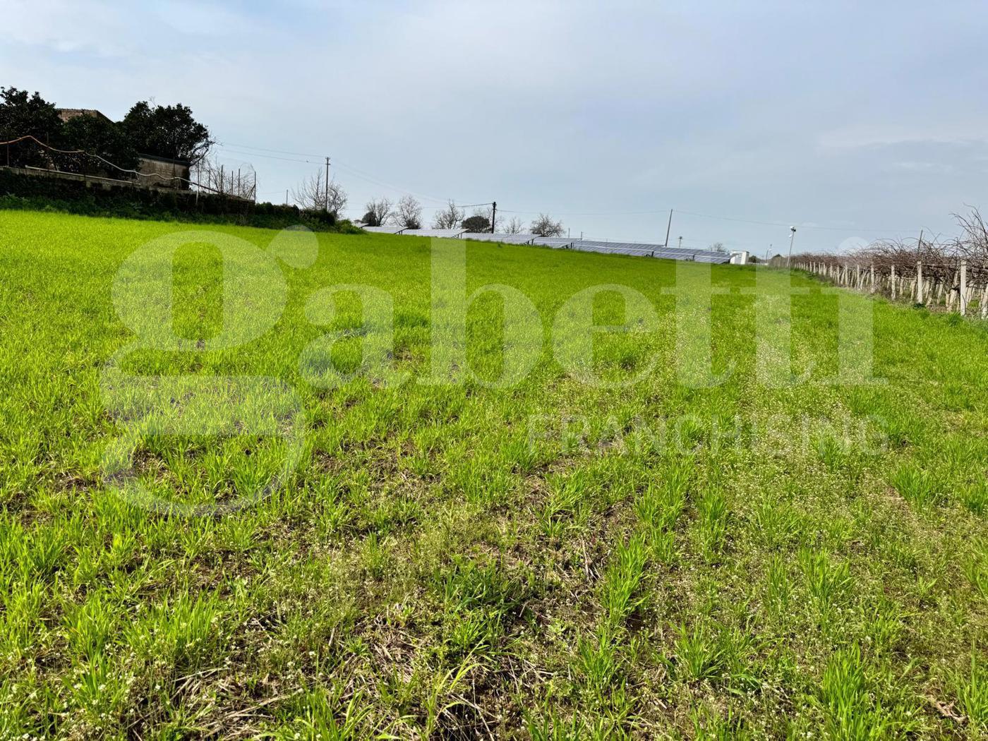 Terreno Agricolo in vendita a Vitulazio