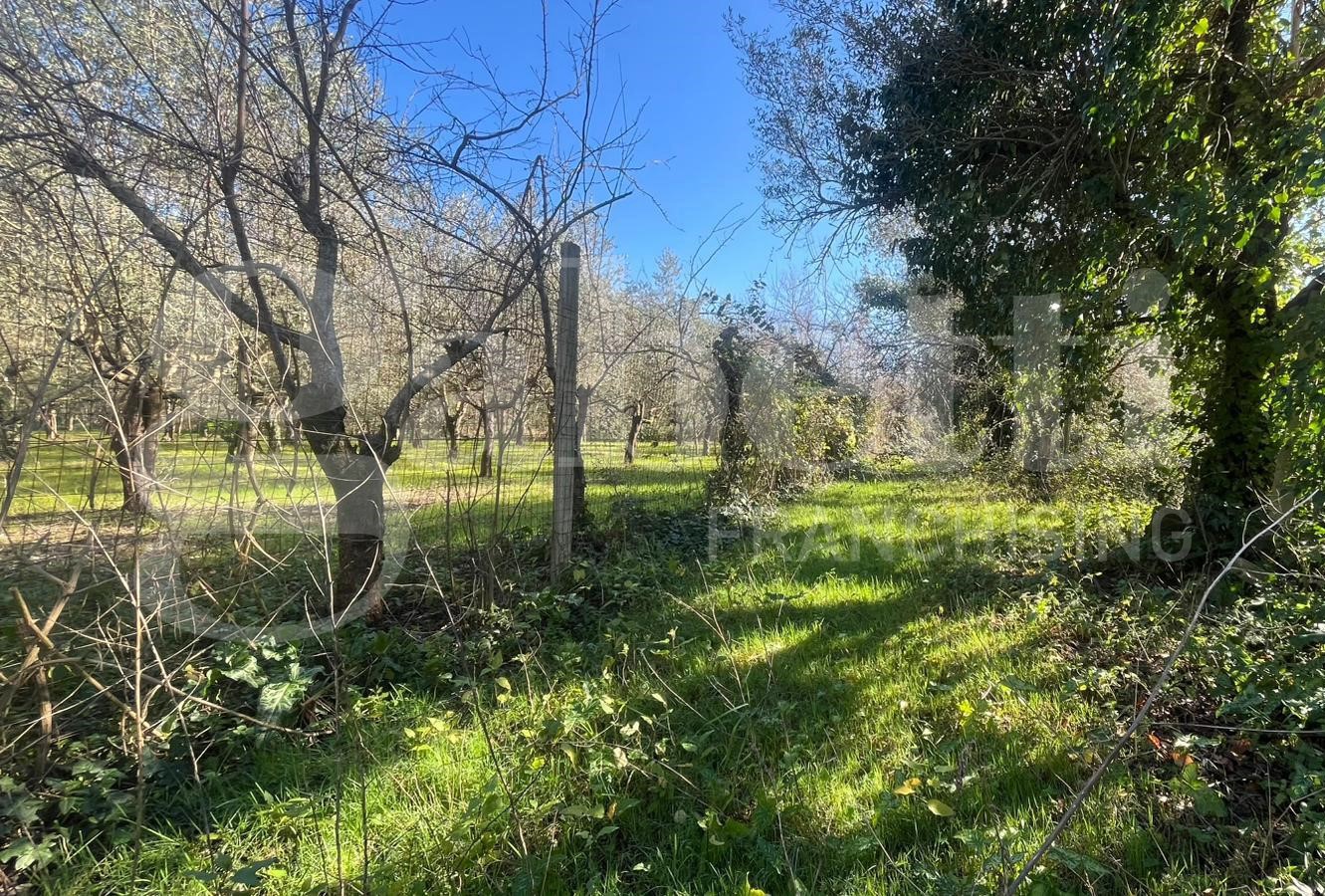 Terreno Agricolo in vendita a Camigliano