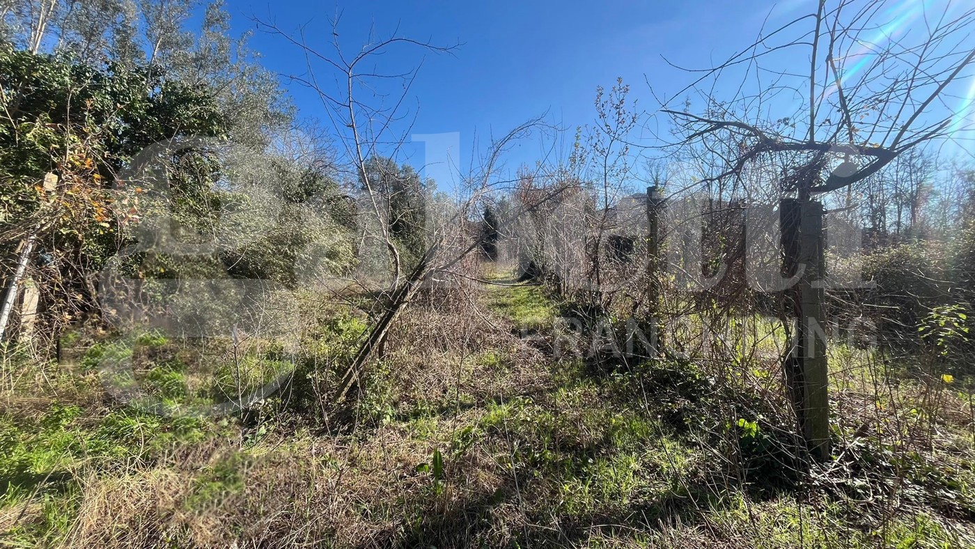 Terreno Agricolo in vendita a Camigliano