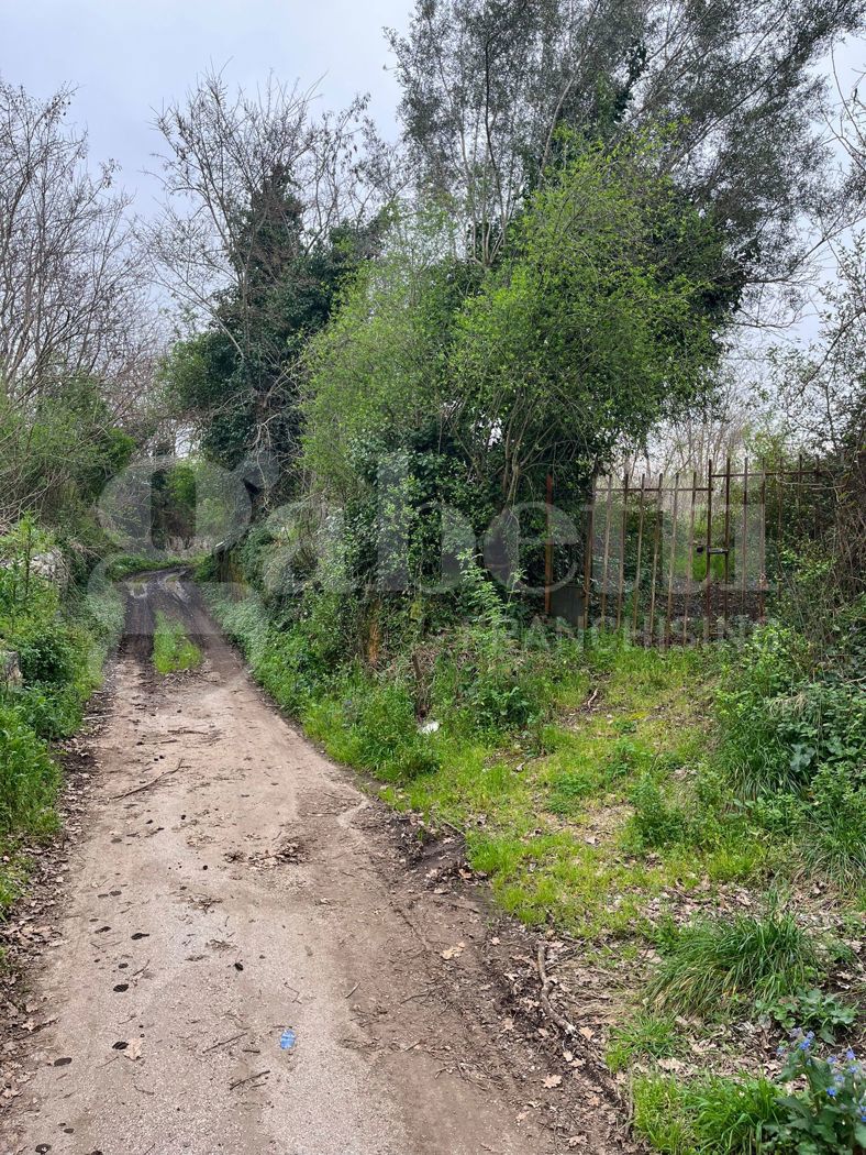 Terreno Agricolo in vendita a Camigliano
