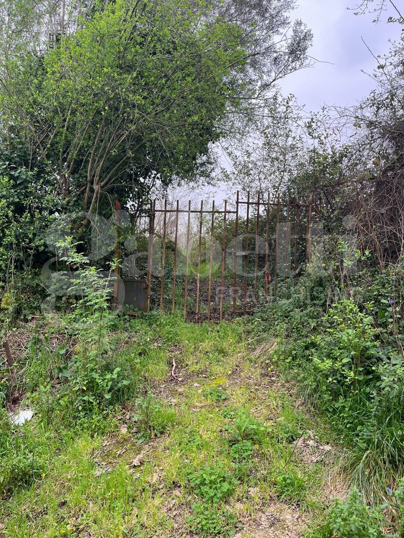 Terreno Agricolo in vendita a Camigliano