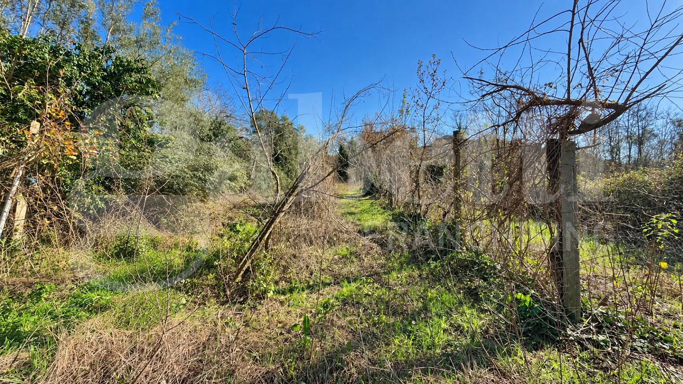 Terreno Agricolo in vendita a Camigliano