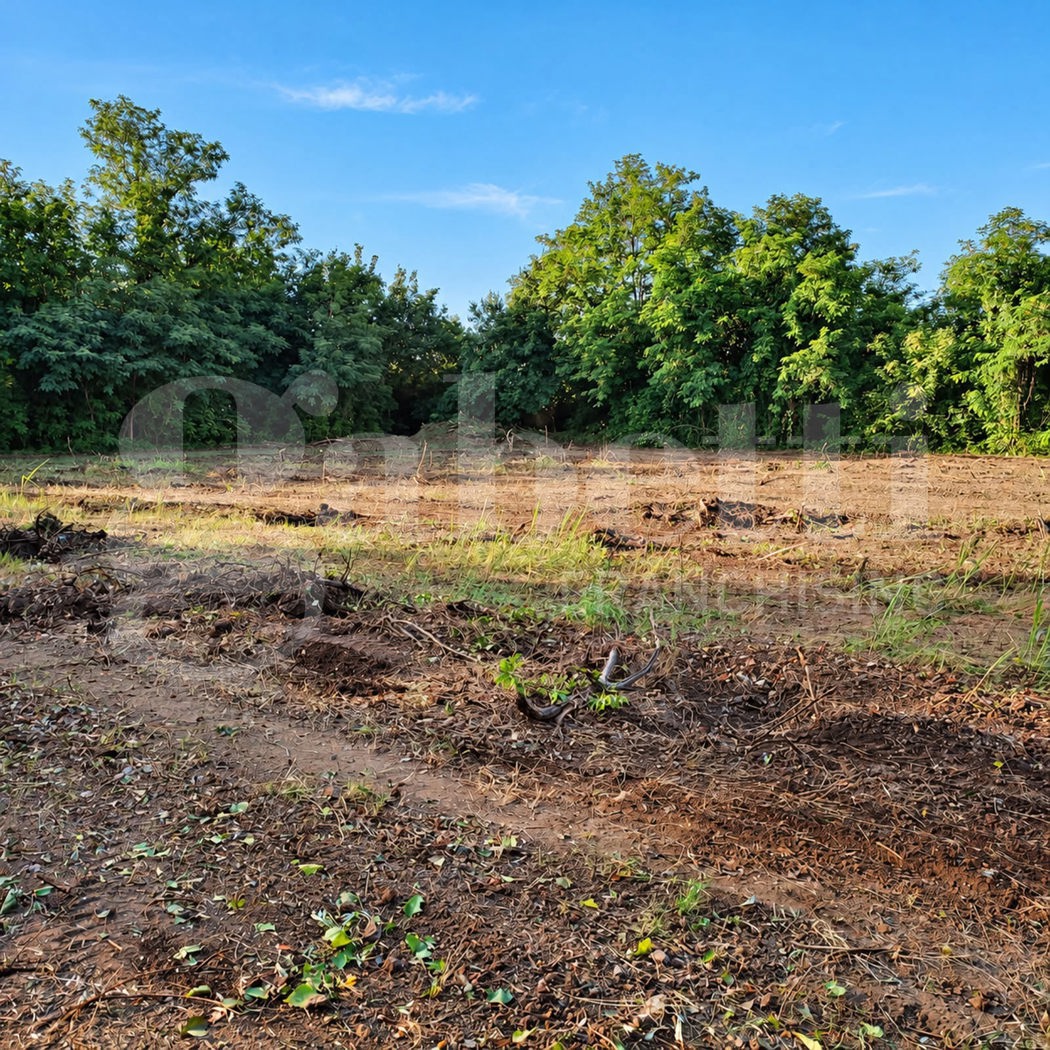 Terreno Agricolo in vendita a Camigliano