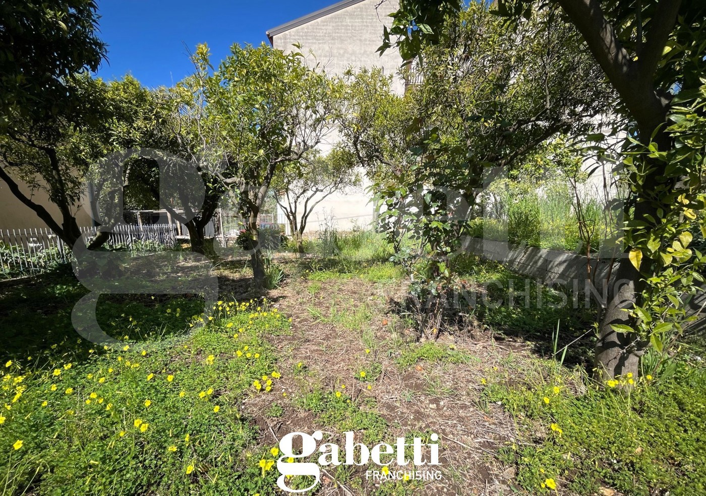 Casa indipendente con giardino a Pastorano