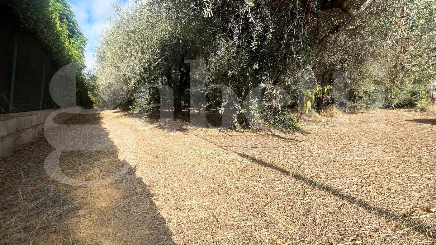 Terreno Agricolo in vendita a Bellona