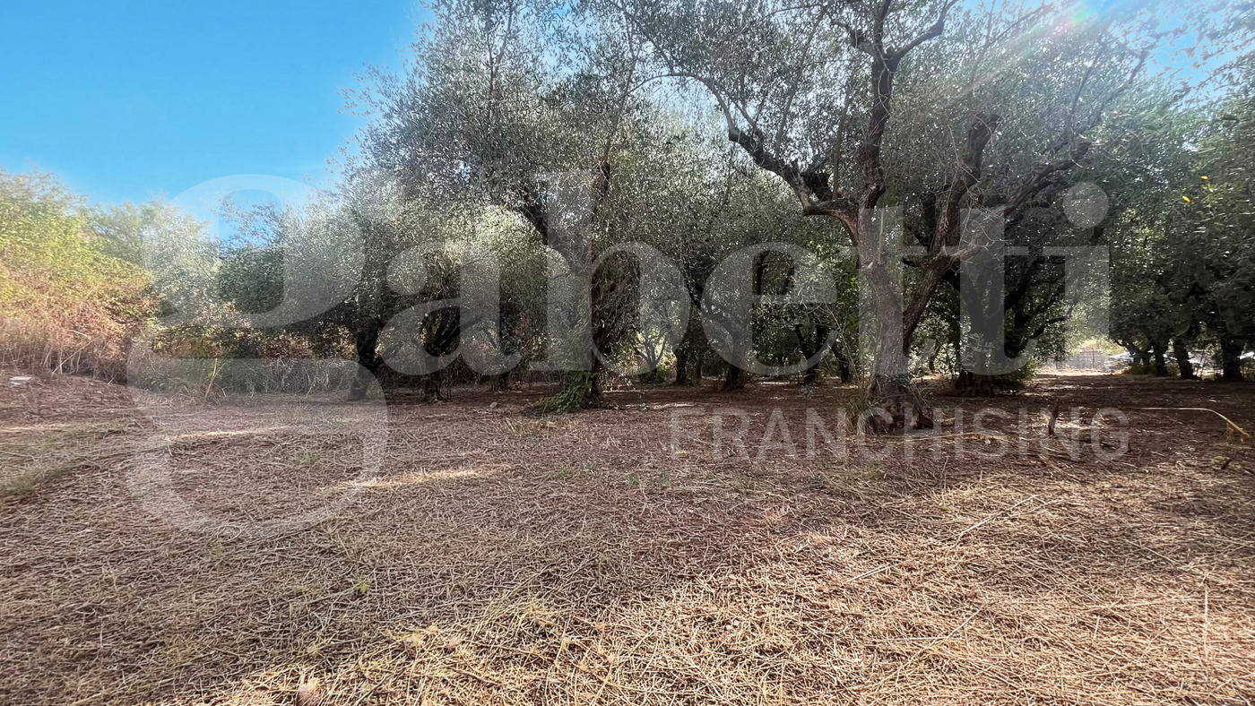 Terreno Agricolo in vendita a Bellona