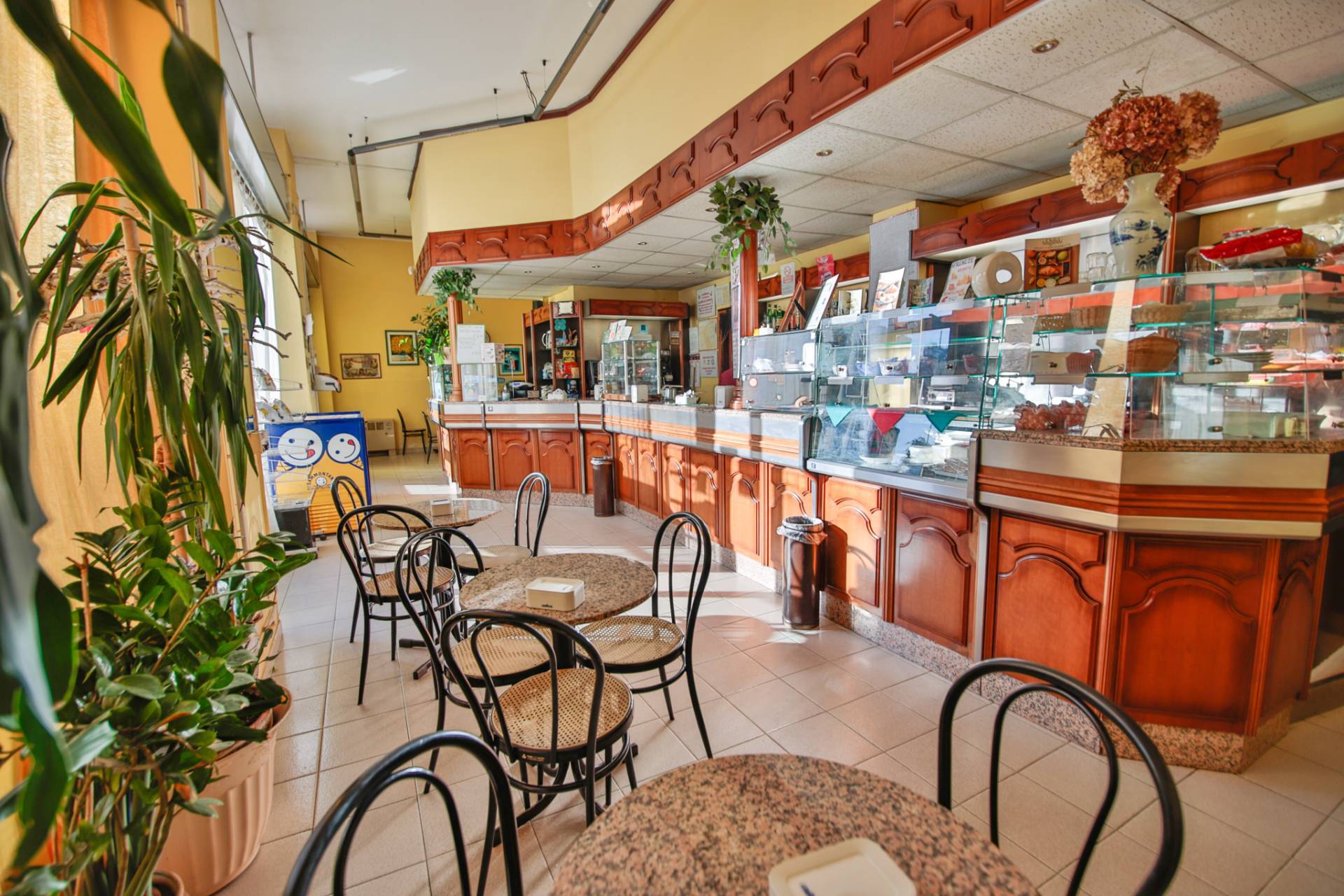 Attivit commerciale in vendita a Torino, Barca