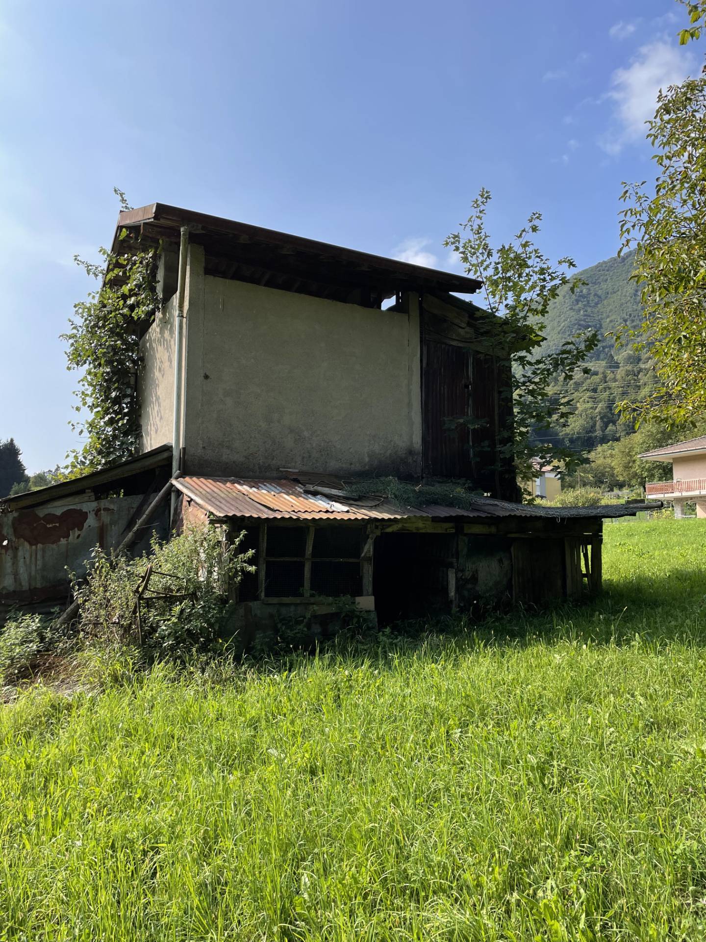 immagine annuncio 3 di 6