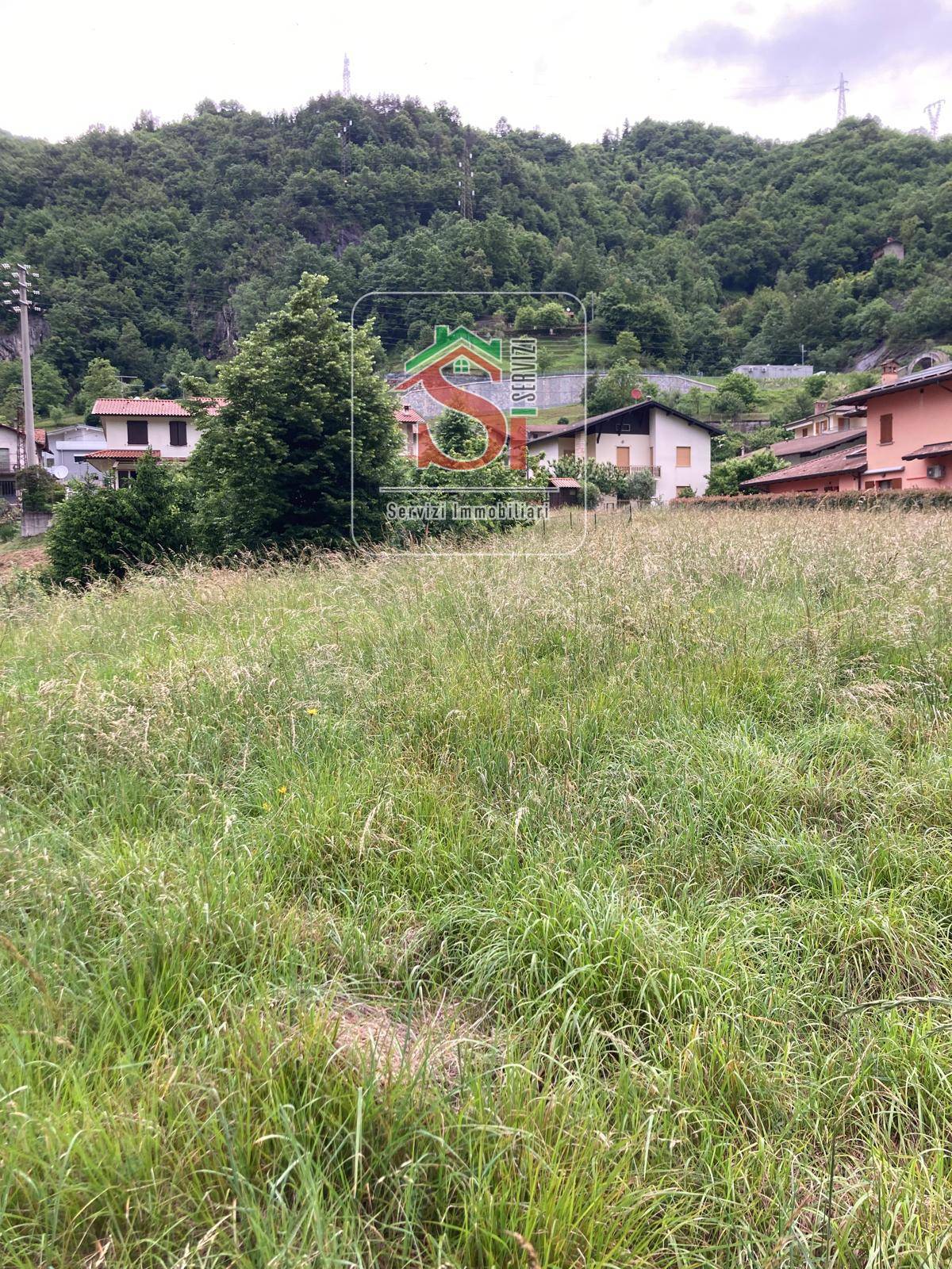 immagine annuncio 1 di 6