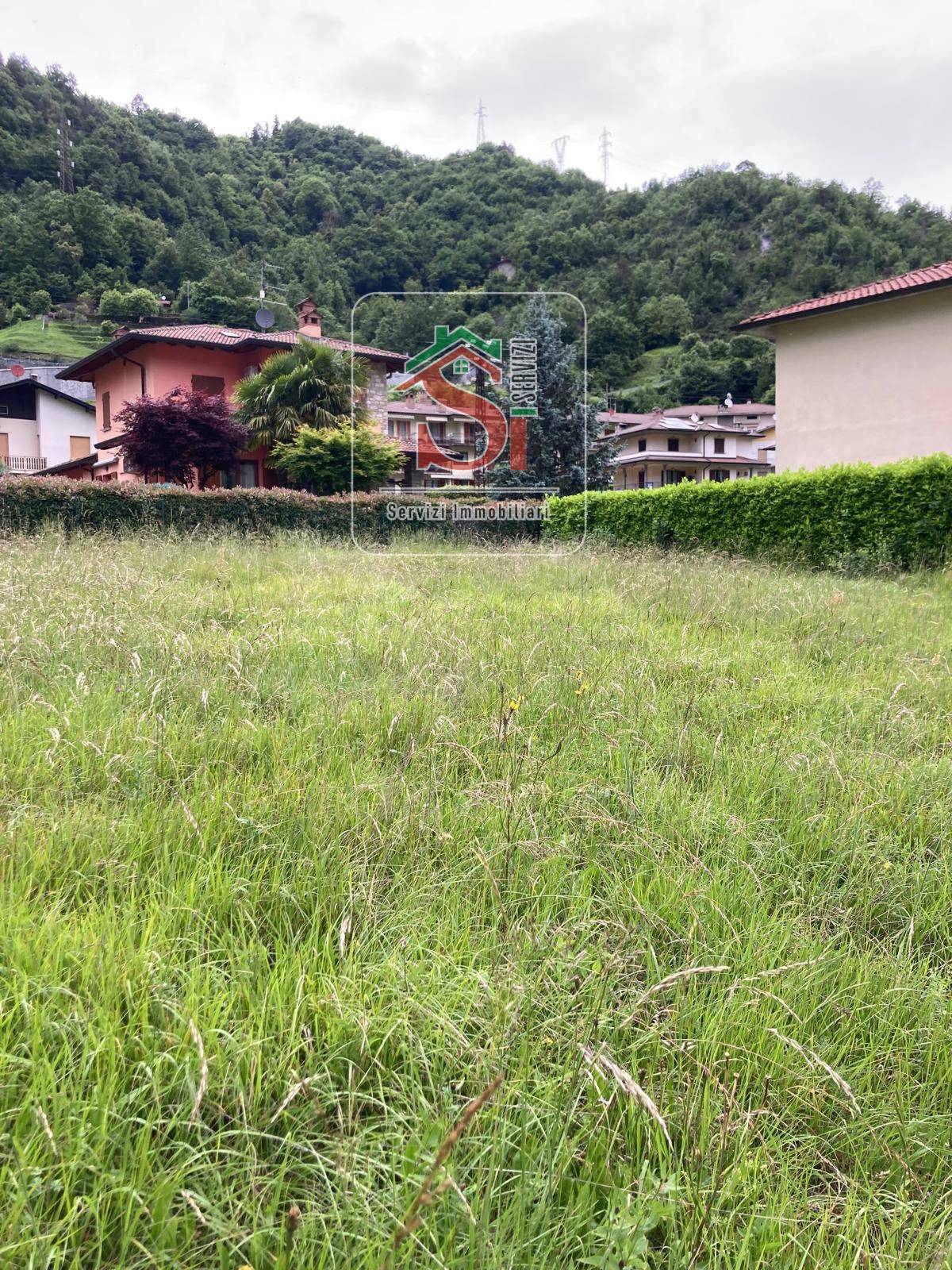 immagine annuncio 3 di 6