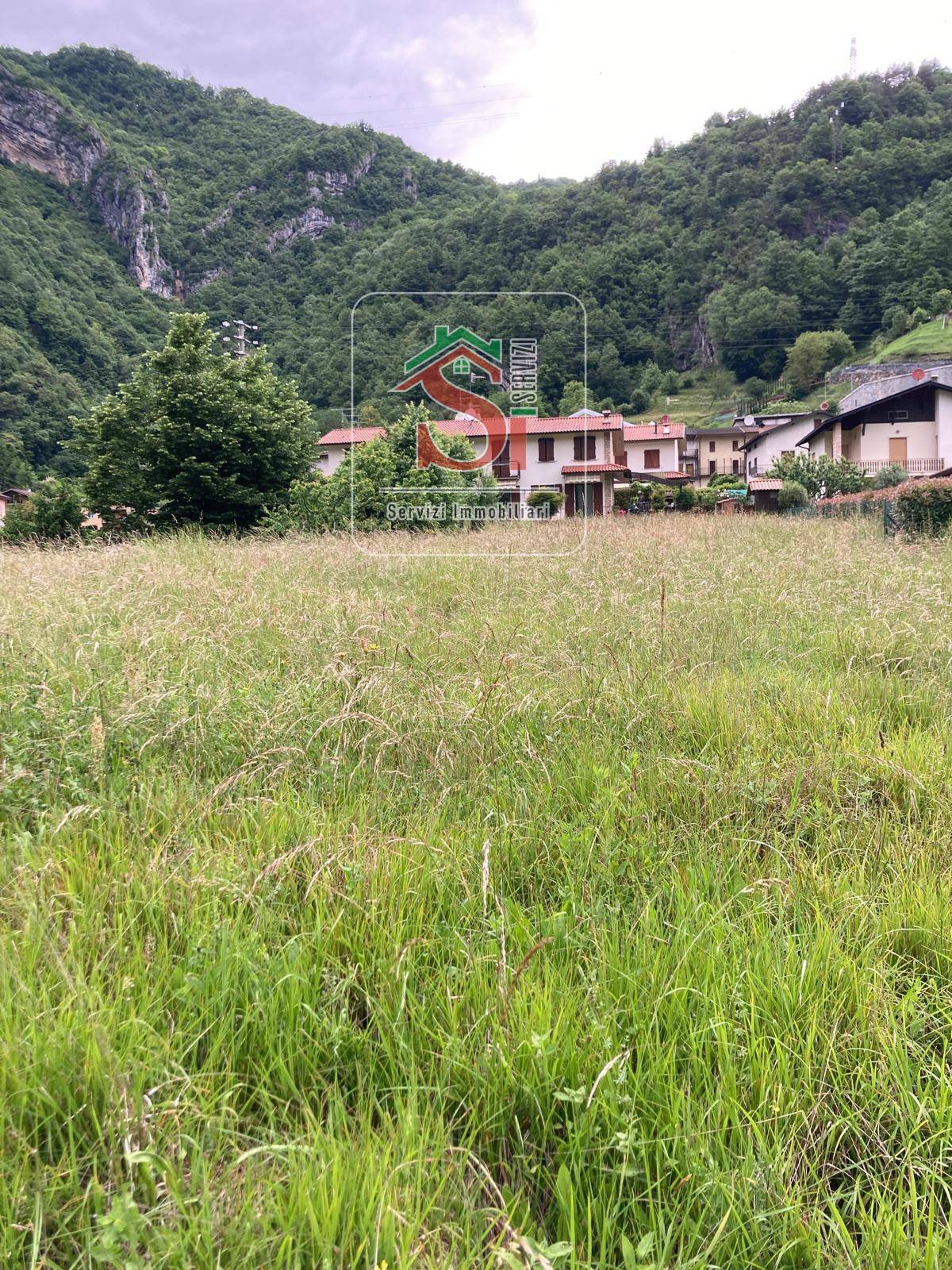 immagine annuncio 4 di 6