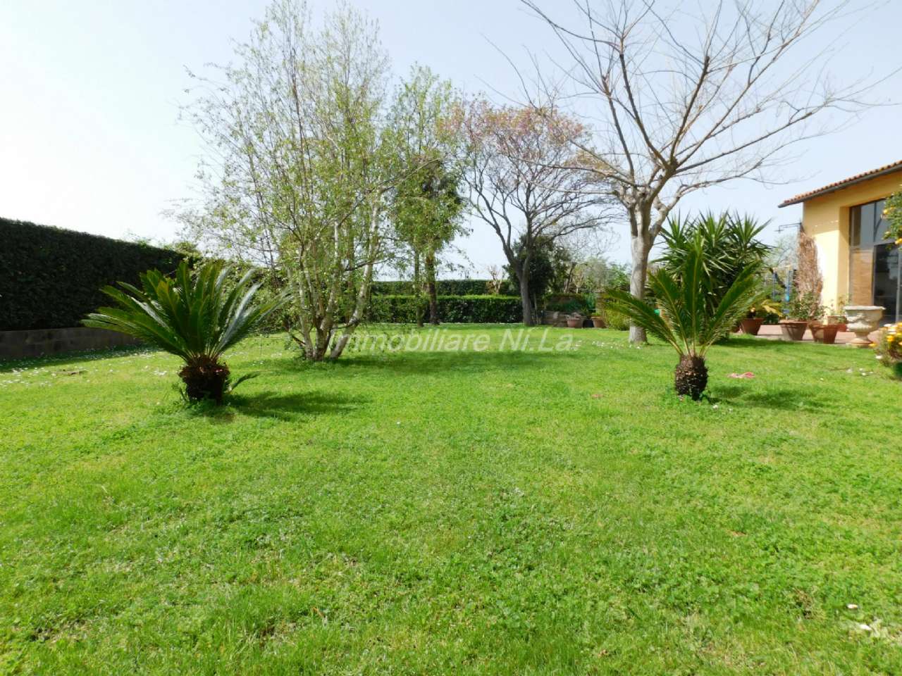 Rustico in vendita a San Giuliano Terme, San Martino a Ulmiano