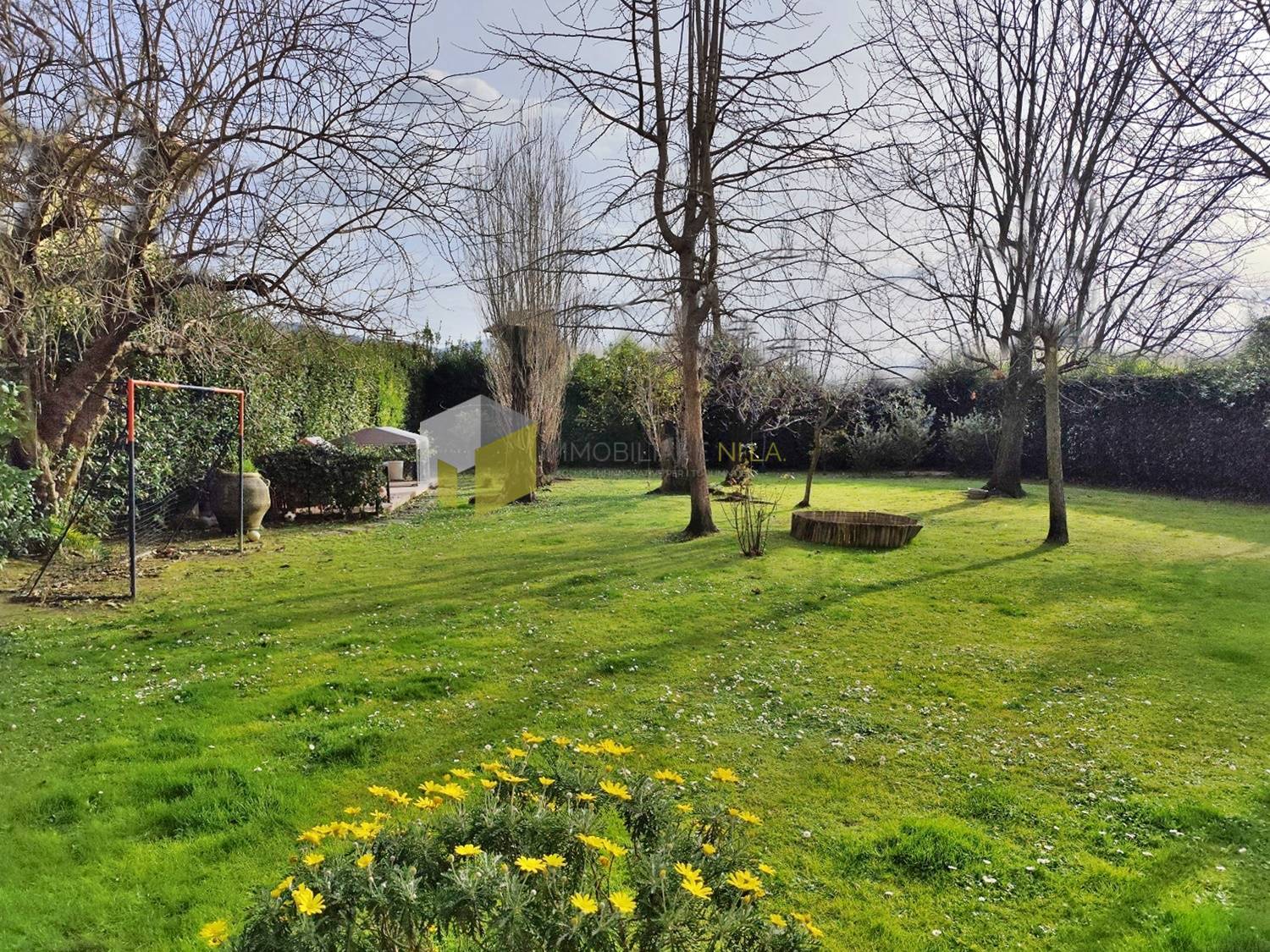 Terratetto - Terracielo in vendita a Vecchiano