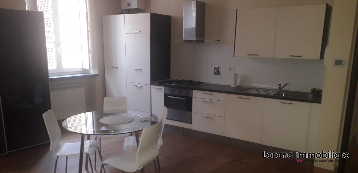 Monolocale in affitto a Pisa